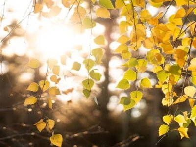 Погода в Харкові на неділю, 25 жовтня