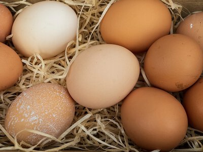 Україна збільшила експорт яєць на 19%: чи пов'язаний він із подорожчанням і скільки може коштувати десяток до кінця року?