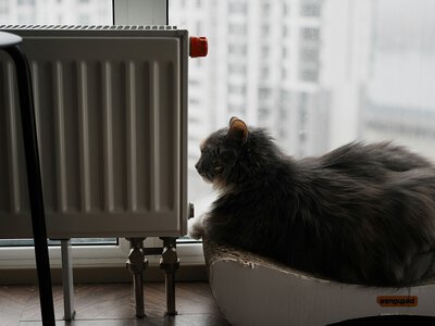Який обігрівач купити до 3000 грн: що обрати для квартири