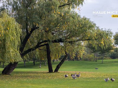 26 жовтня: пам’ять Святого Димитрія та народні традиції