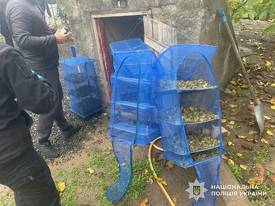 На Миколаївщині у чоловіка вилучили понад 4 кг канабісу