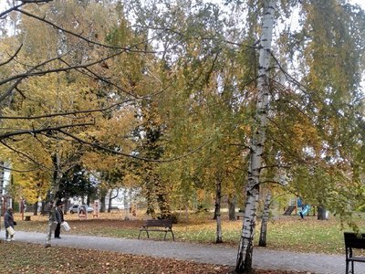 У Глухівській громаді 27 та 28 жовтня вимикатимуть світло: перелік адрес