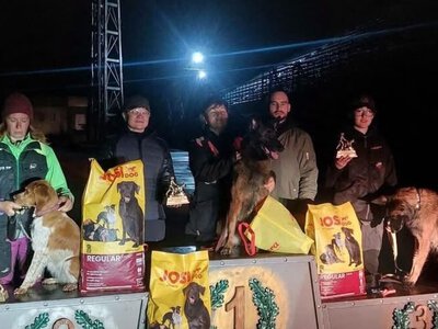 Собака-рятувальниця з Павлограда представлятиме Україну на чемпіонаті світу