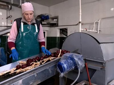 Хрін: аграріїв закликають збільшити посівні площі