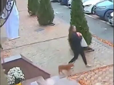 У Миколаєві серед білого дня вкрали прикрасу до Хеллоуїна (відео)