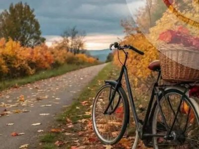Невеликий дощ і туман прогнозують на Рівненщині 27 жовтня