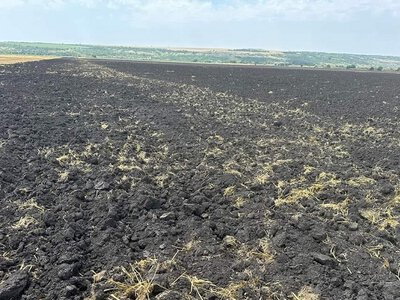 Аграрії Черкащини адаптують технології до посухи