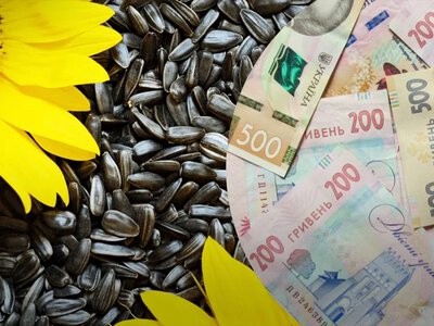 Ціни на соняшник в Україні оновили мінімум з квітня