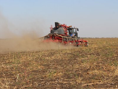 Посівна озимих на Буковині: 62% площ уже засіяно