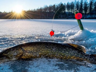 На Дніпропетровщині визначили дві нові зимувальні ями, де заборонять ловити рибу