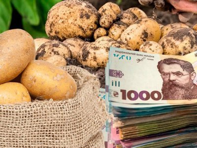 Картопля взимку може різко подорожчати: до якої ціни готуватися українцям