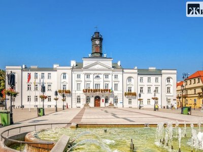 У Польщі розглянуть петицію про припинення партнерства Плоцька з Житомиром