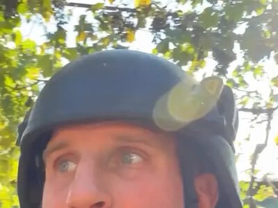 З прифронтової Дар’ївки на Херсонщині евакуювали алабая та вівчарку