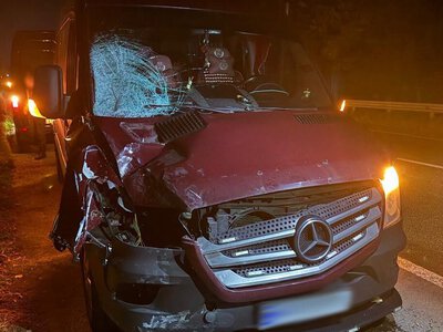 На Львівщині мікроавтобус збив на смерть пішохода: за кермом був житель Прикарпаття