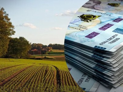 Як правильно прописати орендну плату за земельні паї
