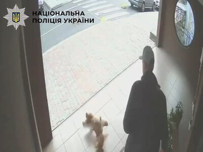 На Оболоні чоловік жорстоко знущався з цуценяти