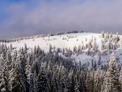 У Карпатах температура опустилася до -4°C: рятувальники закликають туристів не йти в гори