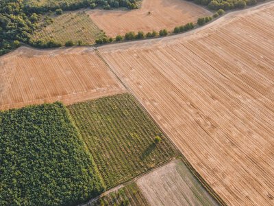 Оренда земельних паїв: що прописати в договорі, щоб інфляція не з'їла виплати