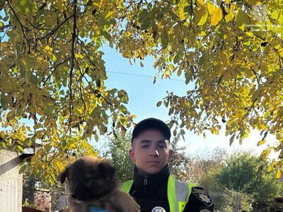 У Кременчуці патрульні врятували цуценя, яке впало в яму