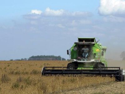 В Україні зібрали вже понад 41,7 млн тонн зернових і 16,9 млн тонн олійних культур