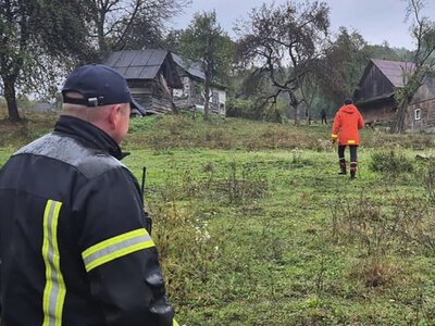 На Закарпатті двоє чоловіків заблукали під час прогулянки у лісі: їх шукали рятувальники