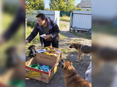У Межовій згорів будинок волонтерки після удару російського дрона