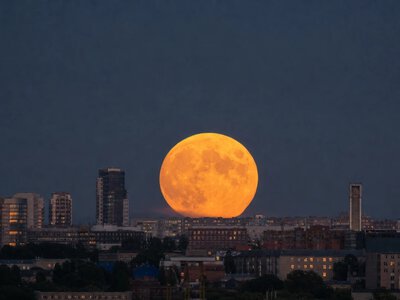 Листопадова повня Бобровий Місяць настане 24 листопада