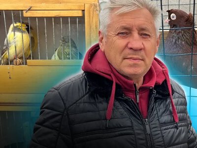 Голубівники з Миколаївщини та інших регіонів зібрались у Первомайську