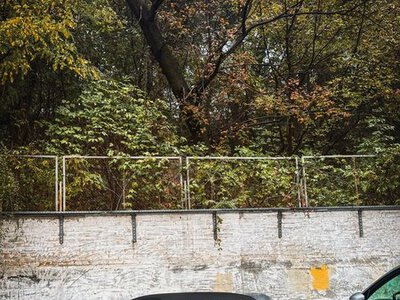 У Києві зафіксували розкішний спортивний кабріолет британського виробництва з німецькими коренями