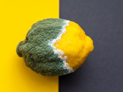 Світла немає годинами: які продукти в холодильнику вже небезпечні