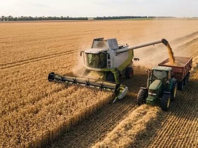 Скільки врожаю вже зібрала Україна: аграрії поділилися свіжими цифрами