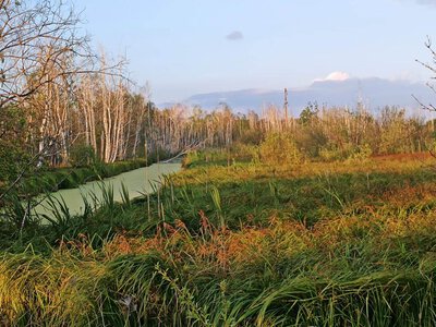 Проєкт відновлення торфовища у Львові переміг у всеукраїнському конкурсі
