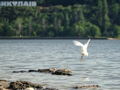 У Миколаївській області до листопада очікується мінлива погода з дощами та до +18°C