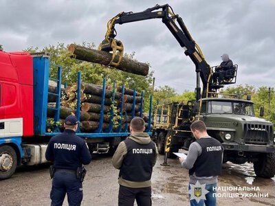 На Вінниччині викрили організовану групу лісівників, які незаконно заробили понад 3 млн грн на деревині