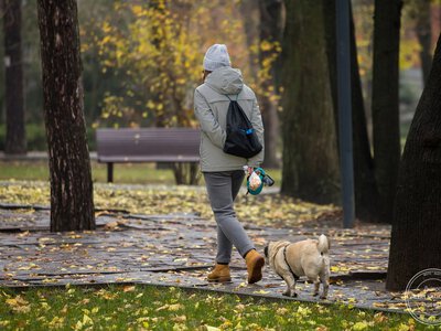 Прогноз погоди на листопад 2026 в Україні: від морозів до теплої погоди