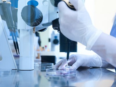  Ferring придбає biotech-компанію Gameto за $1,38 млрд: 20-й єдиноріг українського фонду TA Ventures 