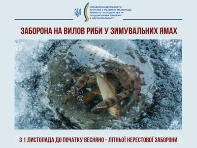 На Одещині з 1 листопада заборонять вилов риби у зимувальних ямах