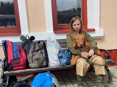 Чому власники квартир у Дніпрі відмовляють орендарям з тваринами