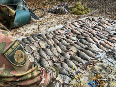 Гумовий човен та сітки: на Полтавщині незаконно виловили риби на понад мільйон гривень