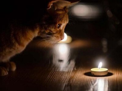 Як на Полтавщині вимикатимуть світло 29 жовтня