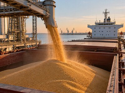 Росія дозволила зерновозам залишити Азовське море після тривалої заборони