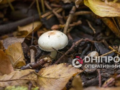 Прогноз погоди у Дніпрі на сьогодні, 29 жовтня 2026