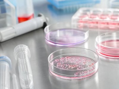 У Nature представили інгібітор METTL1 проти моделей раку