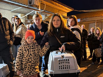 За котами стояли в черзі: чернігівці забрали на перетримку 101 тварину після атаки на ВСЦ (Фото)