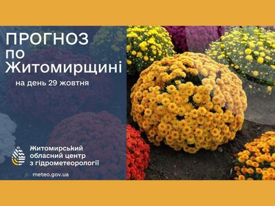 Дощ і до +11° очікується сьогодні в Житомирі