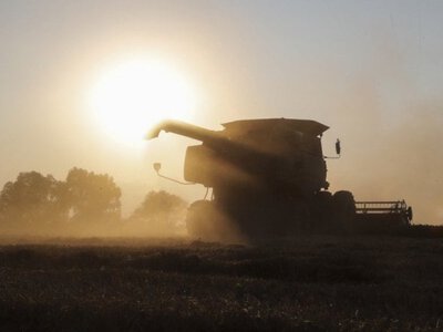 З серпня повноцінного експорту агропродукції з глибоководних портів України немає