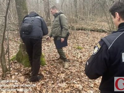 Невідомі зрубали 117 дерев, а 1,64 млн грн списали з рахунку Чуднівської міськради