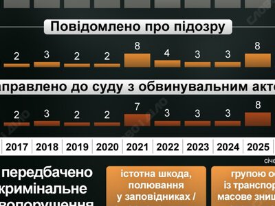 Незаконне полювання в умовах війни: як змінилася кількість правопорушень і підозр