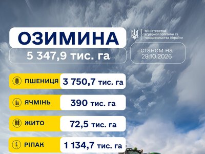 Посівна озимих культур: засіяно понад 5,3 млн гектарів, Миколаївщині лідирує