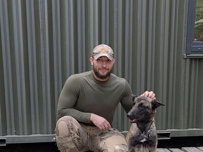 «На зло песики не роблять»: зоопсихолог пояснив, як зрозуміти свого улюбленця